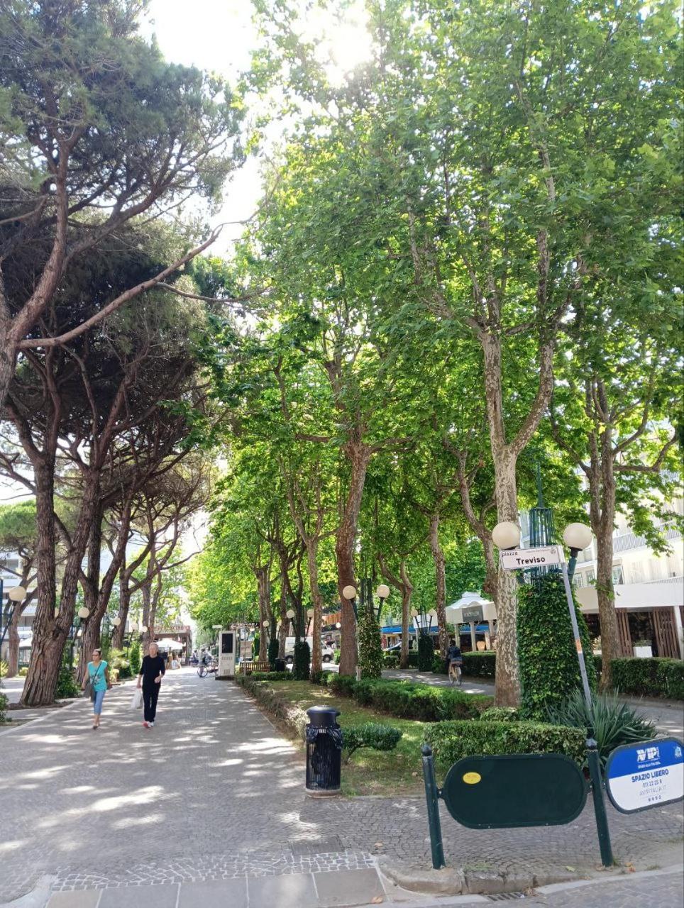 Delfino 19 Apartman Bibione Kültér fotó